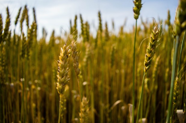 Retailers See A Future For Drones Beyond Delivery