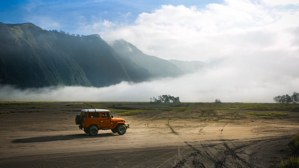 Jeep Sales Strong Despite Fleet Reduction, Says CEO