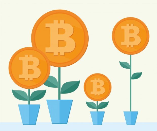 Bitcoin Tracker: A Bitcoin In Spring