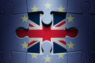 Brexit Drives Investor Pessimism