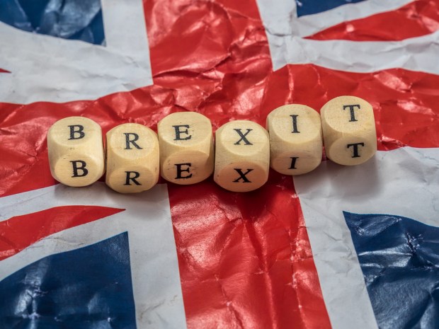 Government Procurement Preps For No-Deal Brexit