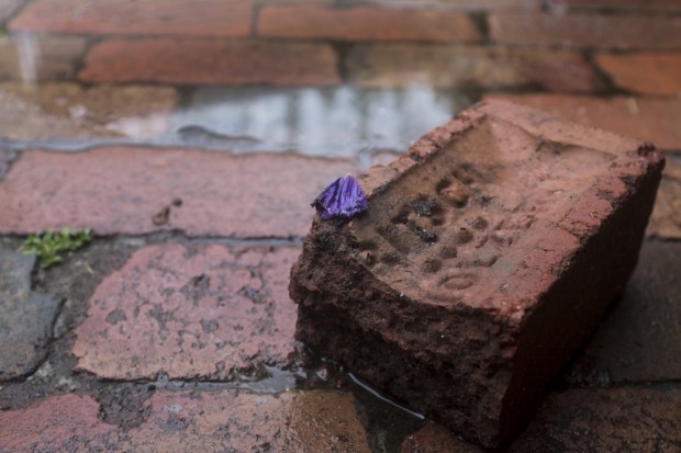 IoT Startup Bricks User’s Gadget After Bad Review