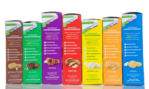 Girl Scouts Urge Consumers Not To Buy Cookies Sold On Amazon