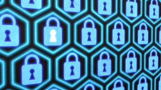 Google Kept Google+ Data Breach Quiet