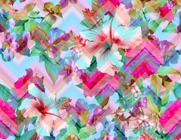 Amazon Tracker: May Flowers