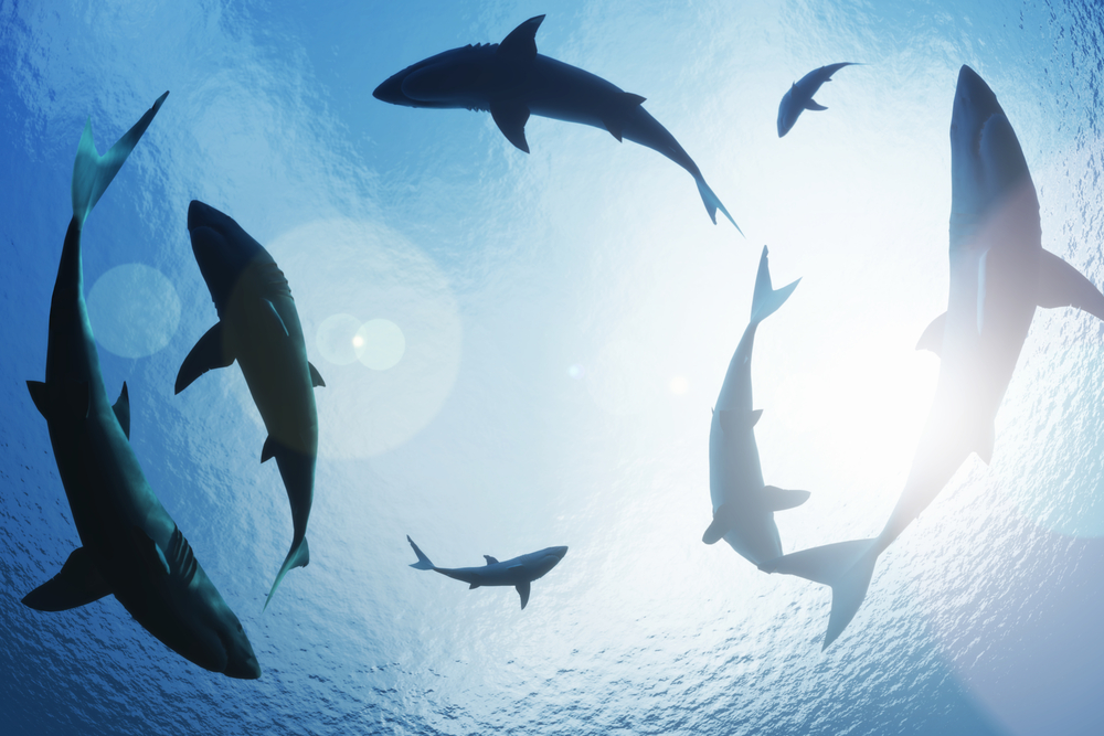 NEW REPORT: When Digital Drives Offline Sales