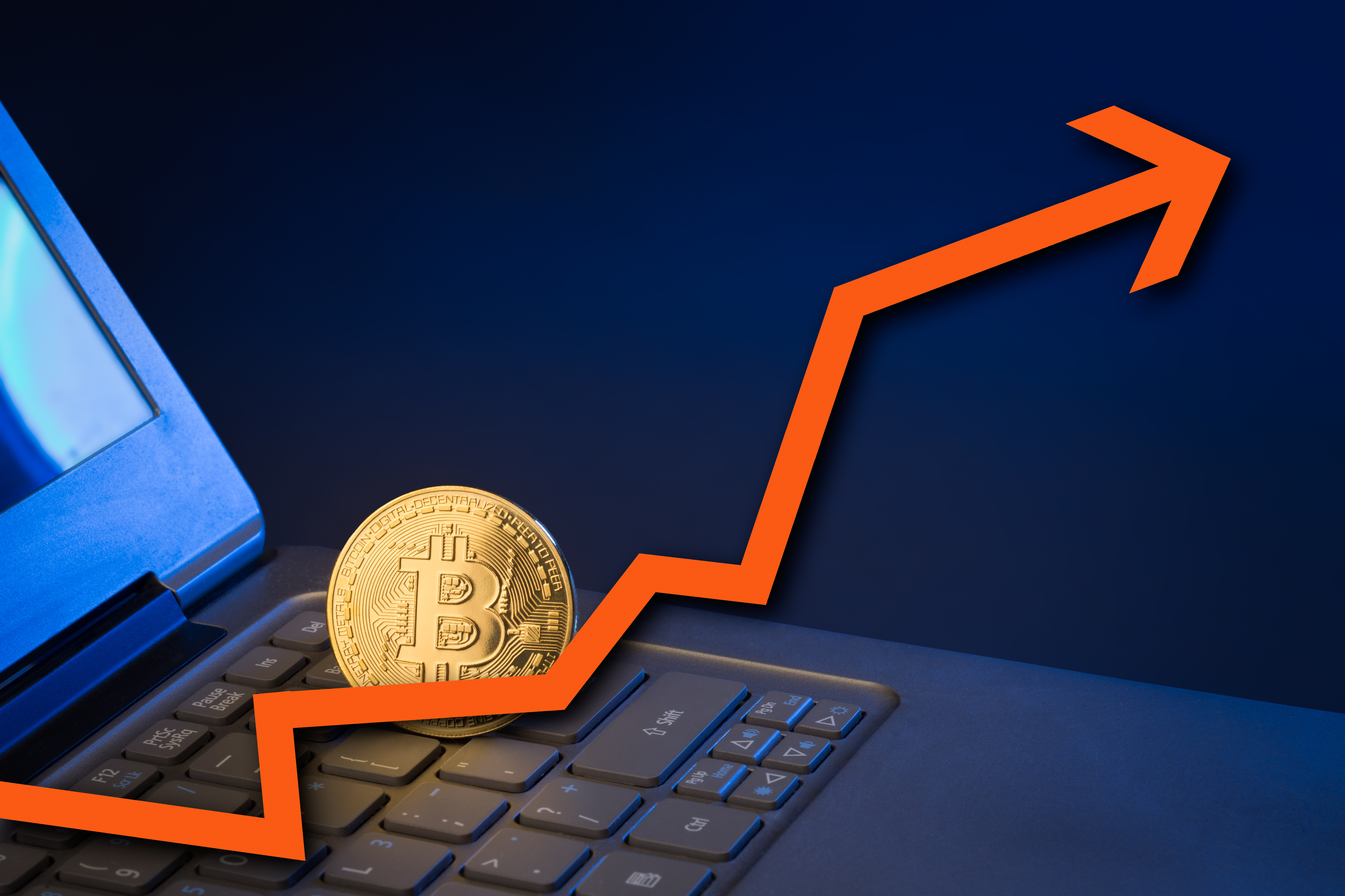 US Firms Diss Bitcoin As Cryptocurrency Price Swings