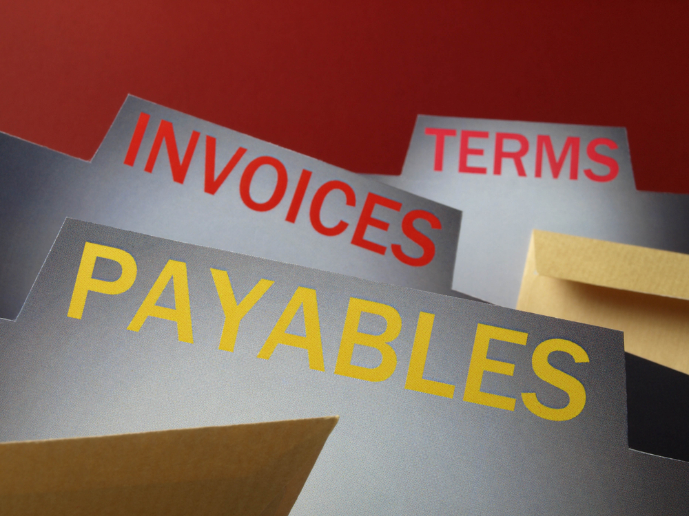 Visa Links Issuers To CSI globalVCard For Accounts Payable