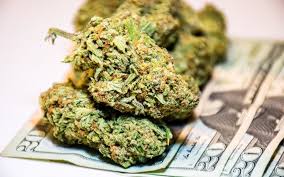 PNC Says No To Drugs