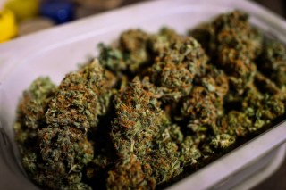 Potcoin Crashes One Day After 97 Percent Surge
