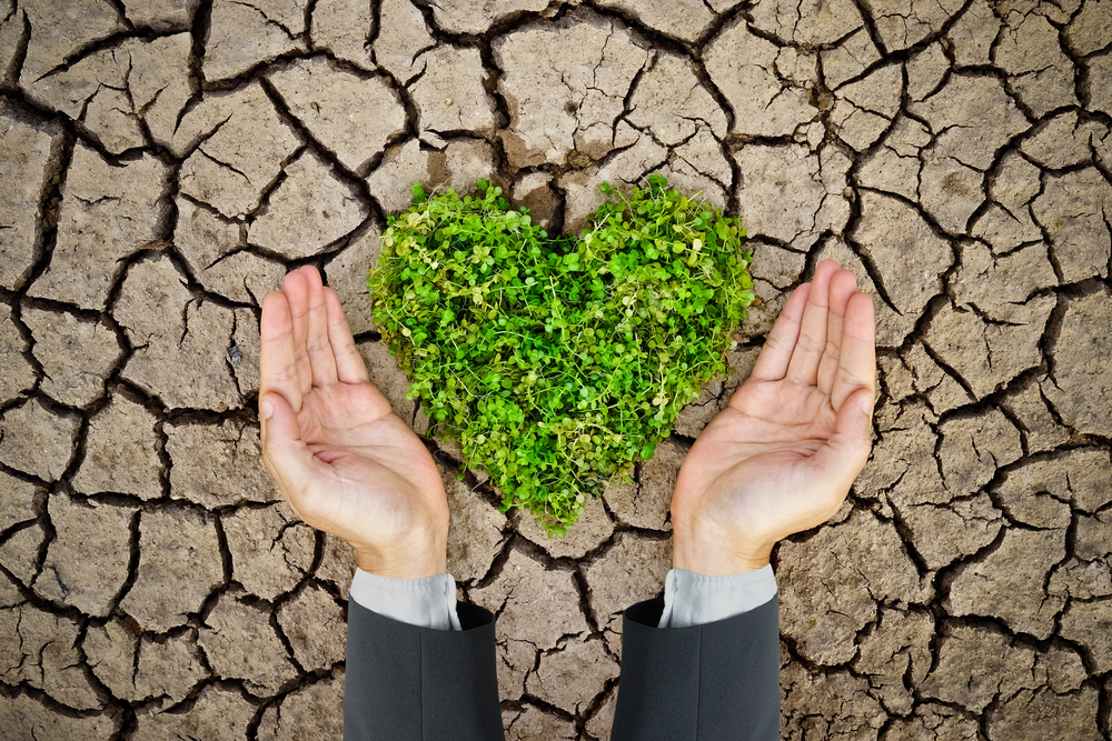 Banking On Socially Conscious Consumers