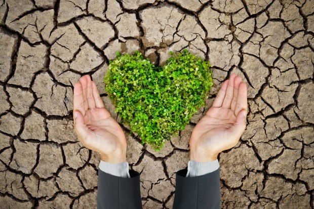 Banking On Socially Conscious Consumers