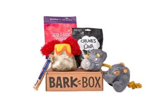 BarkBox And The Subscription Service Turned Lifestyle Brand