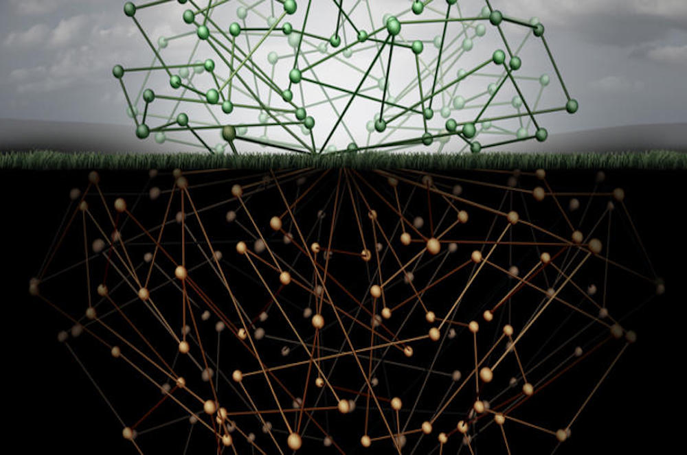 AlphaBay and Hansa Market — Two Dark Web Markets — Have Been Shut Down