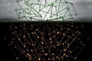 AlphaBay and Hansa Market — Two Dark Web Markets — Have Been Shut Down