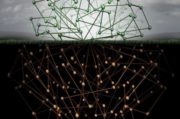 AlphaBay and Hansa Market — Two Dark Web Markets — Have Been Shut Down