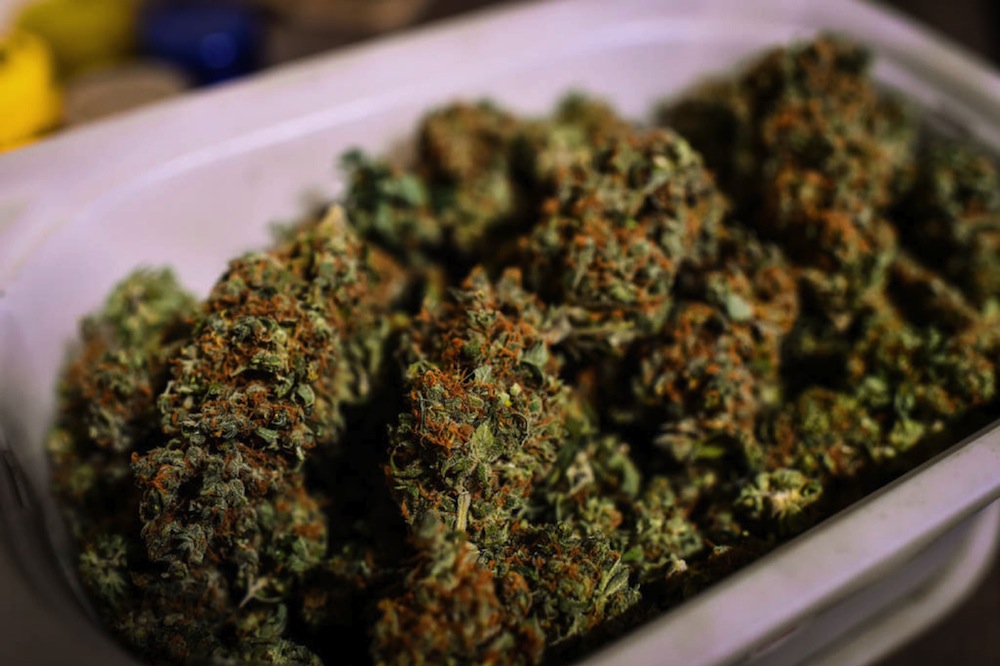 Go Green Processing Launches POS System For Pot Industry