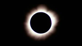 South Carolina’s Eclipse Commerce Haul