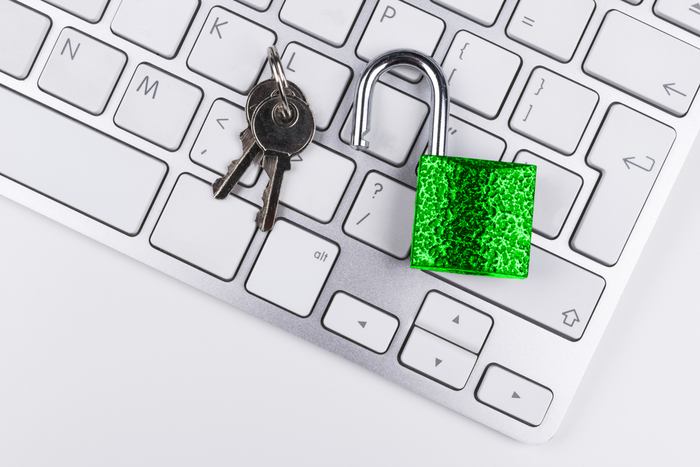 Jumio CEO: Outfoxing The Cyberfraudsters In Real Time