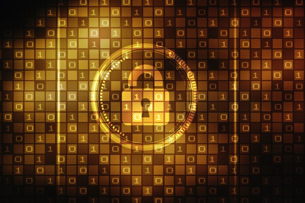 Survey Says Security Professionals Doubt Effectiveness of Encryption Backdoors