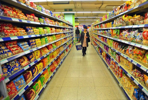 Supermarket Food Lion Launches New Mobile App