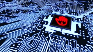 Cyber Fraud Hits All-Time High