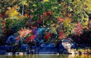 Why REI Is Opting Outside Again This Year