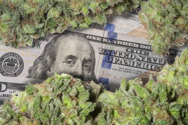California Eyes State-Backed Bank For Marijuana Businesses