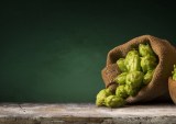Hops Exchange Platform That Keeps The Suds Flowing