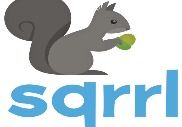 Will Amazon Buy Cybersecurity Firm Sqrrl?