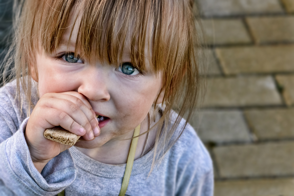 Closing The Loop Between Food Stamps And Food On The Table