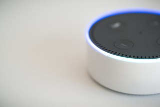 Alexa Is The New Virtual Roommate