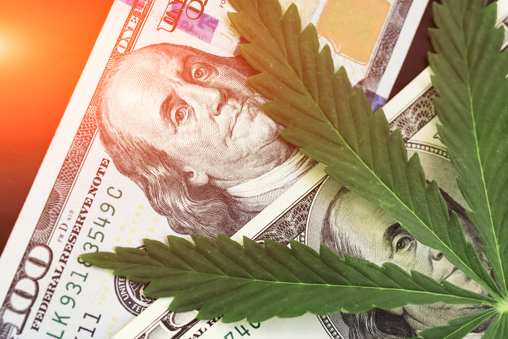 Jimmy Buffet Invests In Cannabis Startup