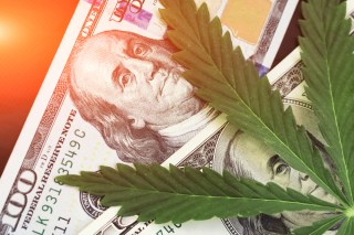 Jimmy Buffet Invests In Cannabis Startup