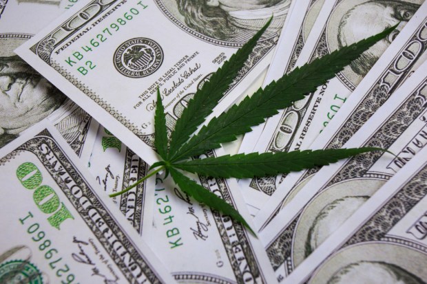 First Cannabis Company To Go Public Raises $153M