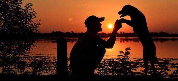 How Pet Tech Can Create Smarter Pet Owners