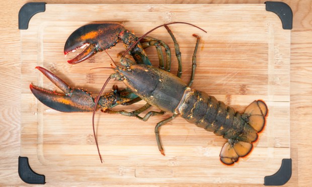 How Lobster Wholesalers Keep Cross-Border Cash Flowing