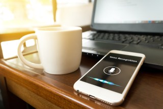 Voice: A Growing Piece Of The Omnicommerce Pie