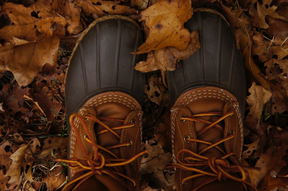 LL Bean Backs Away From The Blockchain