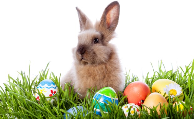 Hippity, Hoppity – Easter Commerce Is On Its Way