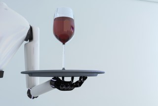 Where Are Our Robot Butlers?