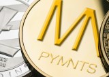 PYMNTS Eyes ICO, Surrendering To Trends And Temptation