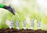 The New Beginnings Edition: Apple, Uber And Goldman Sachs