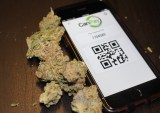 CanPay Enables Cannabis Customers To Buy Online, Pick Up In Store