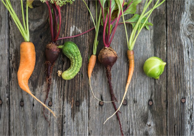 Subscription Services Tackle The Costly Problem Of Surplus Groceries