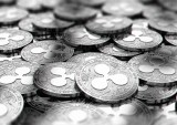 Bitcoin Daily: Ripple Builds XRP Ecosystem, Florida Tax Collector Accepts Crypto Payments