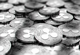 Bitcoin Daily: Ripple Builds XRP Ecosystem, Florida Tax Collector Accepts Crypto Payments