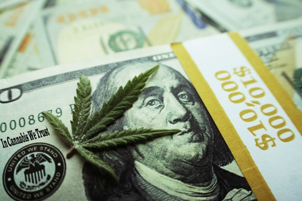 Cash-Strapped Entrepreneurs Squeezed Out Of Marijuana Business