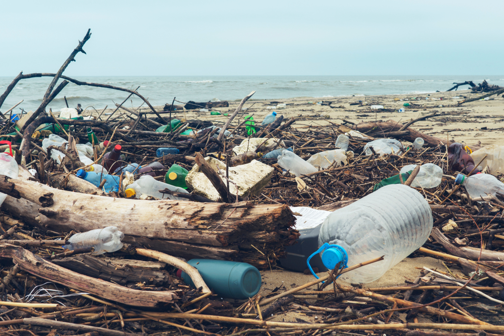 American Express To Roll Out Credit Card Made From Recovered Plastics