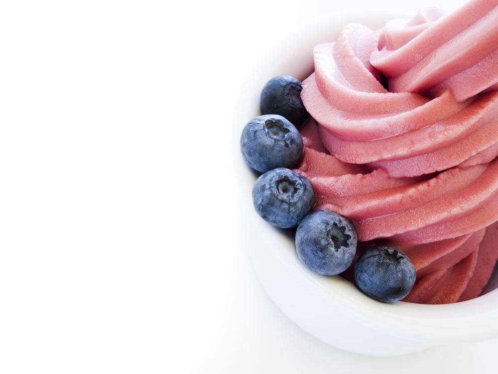 The Sweet Side Of A Froyo Franchise